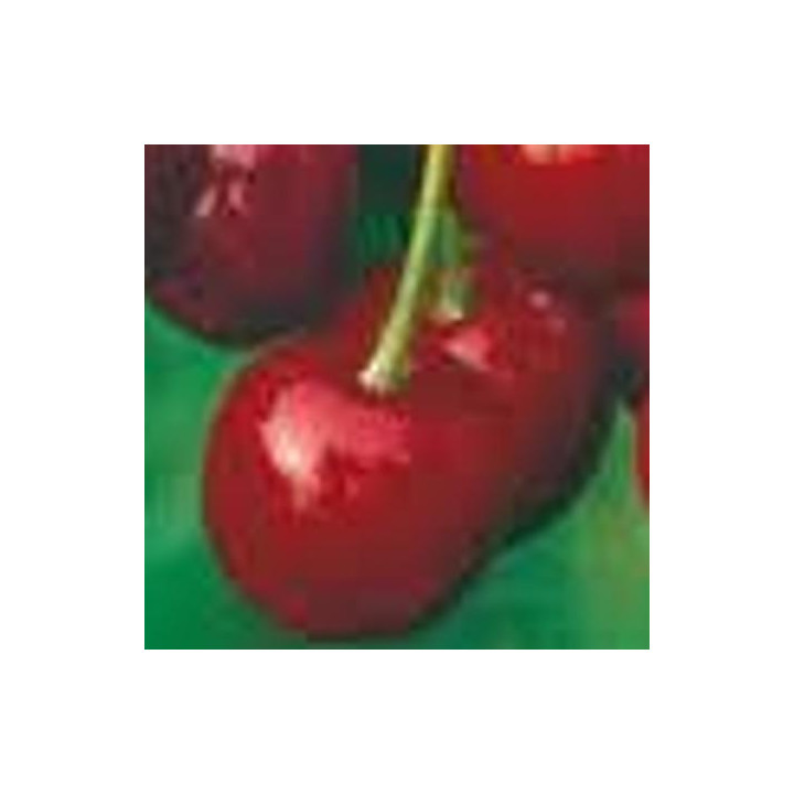 Wiśnia Debreceni Botermo